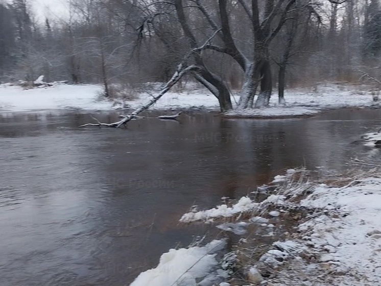 Паводковая ситуация в Смоленской области на утро 5 февраля