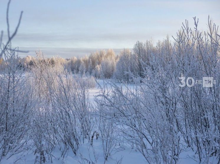 Экологи оценили предварительный ущерб от сброса сточных вод в районе Лебяжьего.