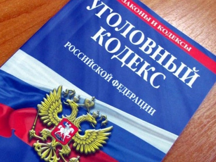 Полицейские Запорожской области раскрыли кражу по горячим следам