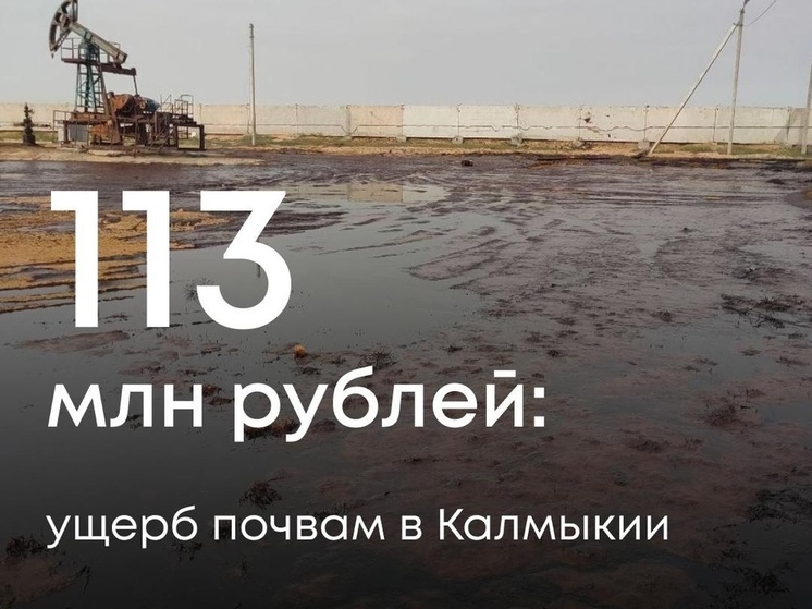 Нефтяное предприятие загрязнило в Калмыкии почву, нанеся ущерб в 113 млн рублей