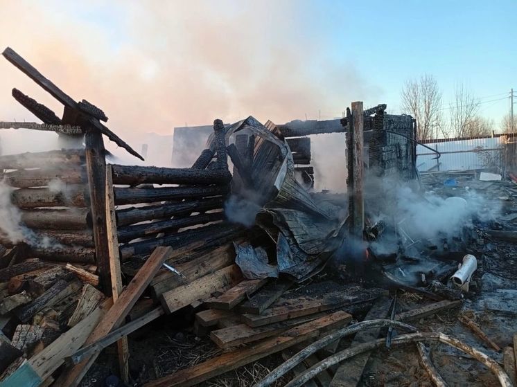 В округе Чехов сгорел дотла дом в местном СНТ