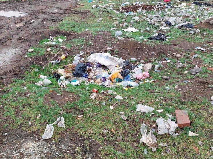 Тульская прокуратура заставила власти Архангельского убрать свалку ТБО