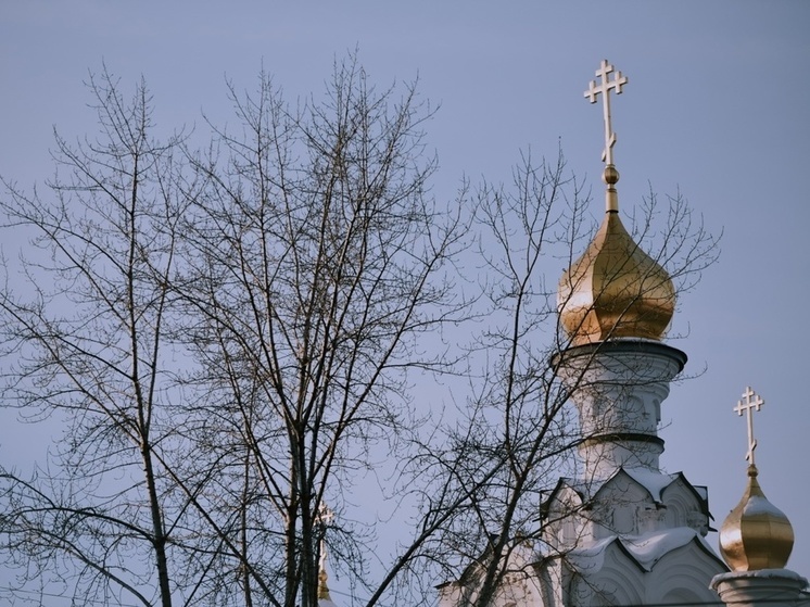 Томич 1974 года рождения устроил дебош в храме