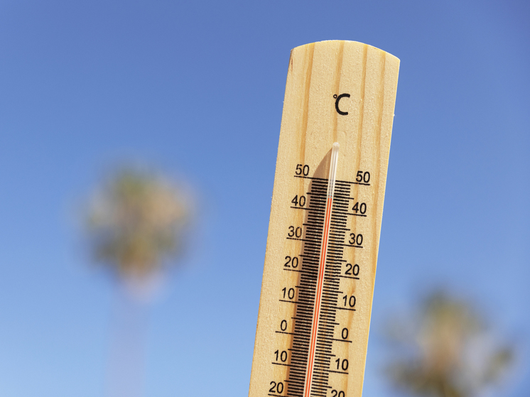 Тридцать процентов суши может стать небезопасной для жизни старшего поколения