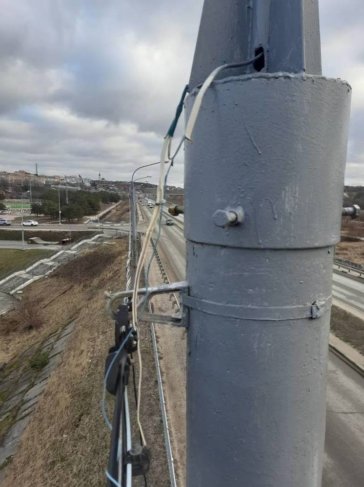 Стали известны подробности дела об ударе собаки током в Калуге