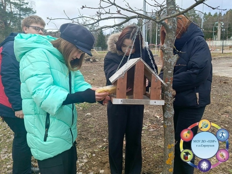 Школьники Серпухова заботятся о птицах