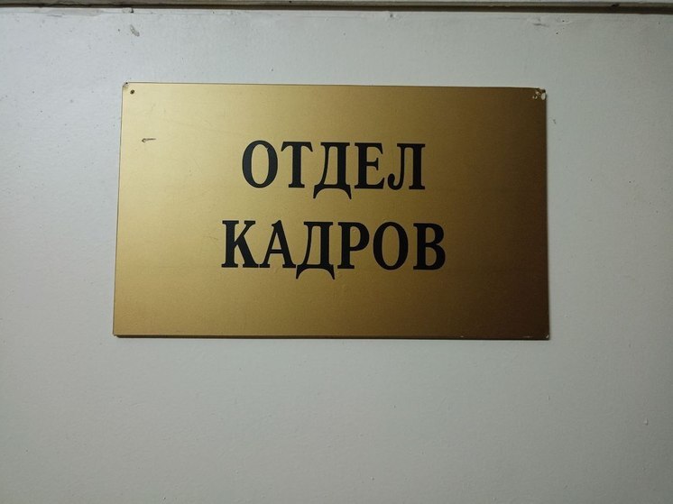 Рынок труда в Пензе: кто нужен работодателям и кого ищут соискатели?