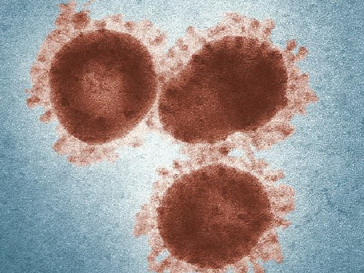 Эти инфекции, попав в организм человека, остаются навсегда