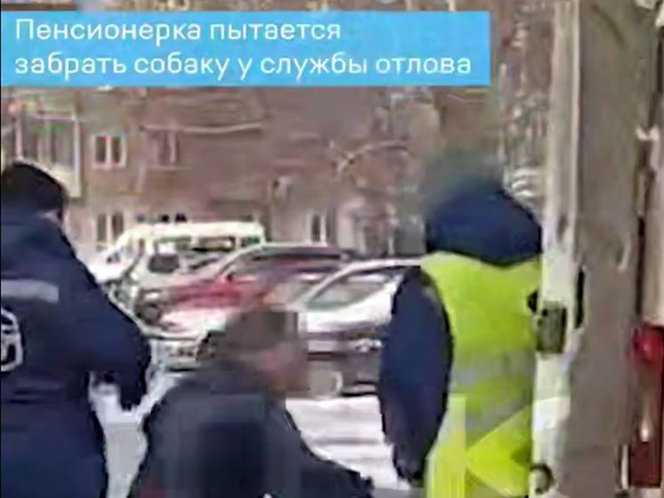 В Красноярске пенсионерка отстояла собаку у отловщиков.