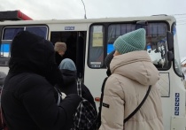О нововведении, которое должно облегчить дорогу в Томск и обратно жителям Зонального, сообщила глава сельского поселения Евгения Коновалова