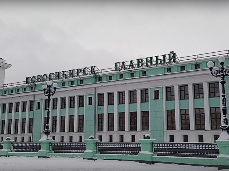 Новокузнечанка устроила дебош в поезде до Москвы