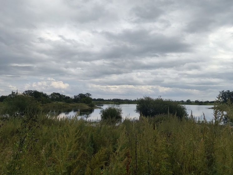 Более 18 миллионов выплатят золотодобытчики из Приамурья за загрязнение речных вод