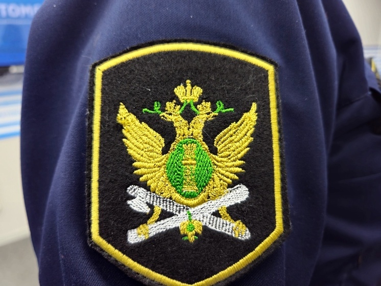 «Почти каждый должник»: стала известна сумма взысканий в Томской области