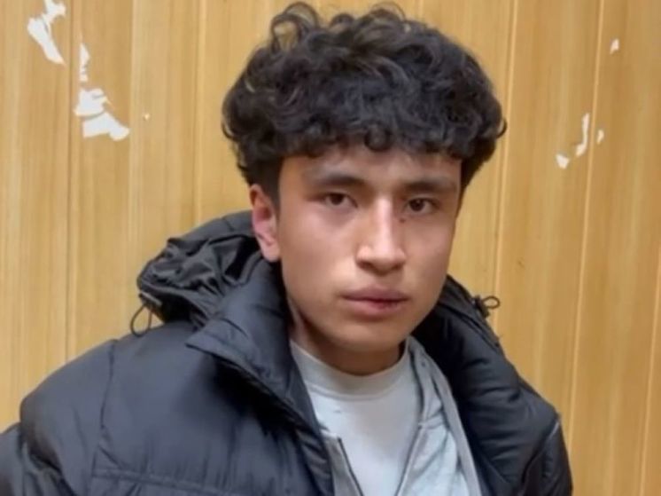 СК возбудил уголовное дело на юношу, ударившего сотрудника полиции в Подольске