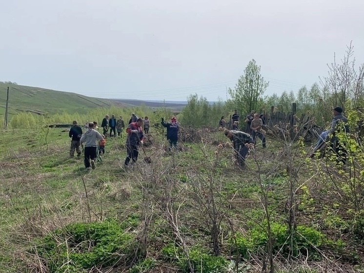 В Янтиковском округе появится аллея в честь участников СВО