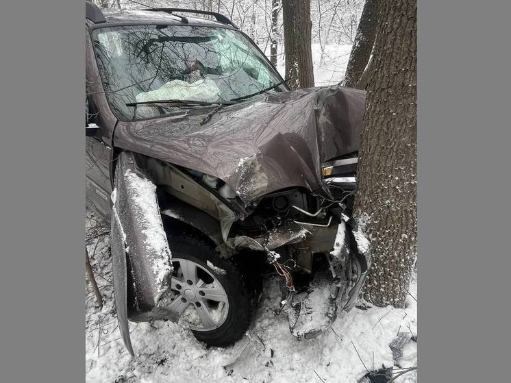 Автоледи врезалась под Воронежем в дерево и попала в больницу