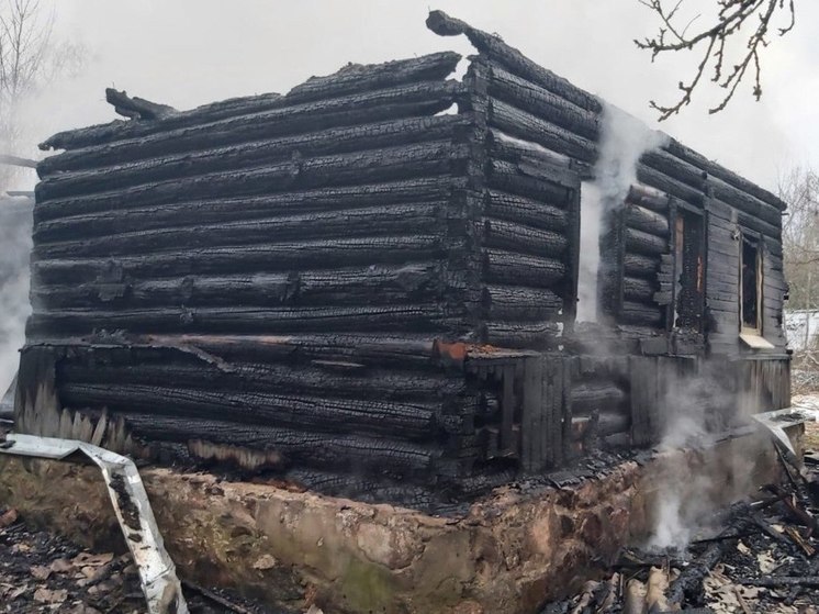 Жилой дом загорелся в Дедовичском районе