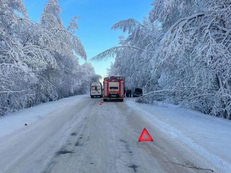 За сутки в Ленобласти произошло 79 ДТП, два человека погибли