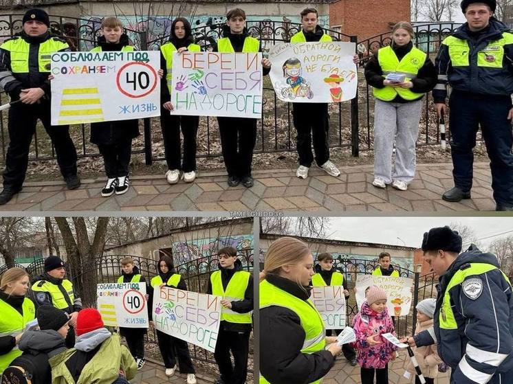 В Нововоронеже прошёл «Дорожный патруль безопасности»