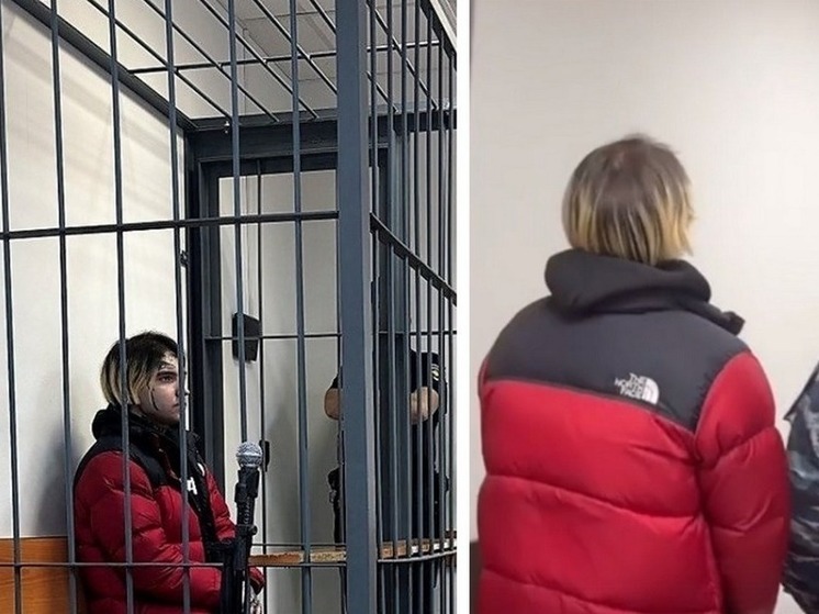 В Петрозаводске осудят блогера-миллионника