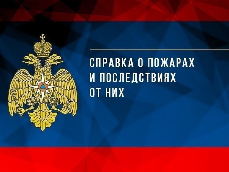 93 пожара произошли в Псковской области в январе 2025 года