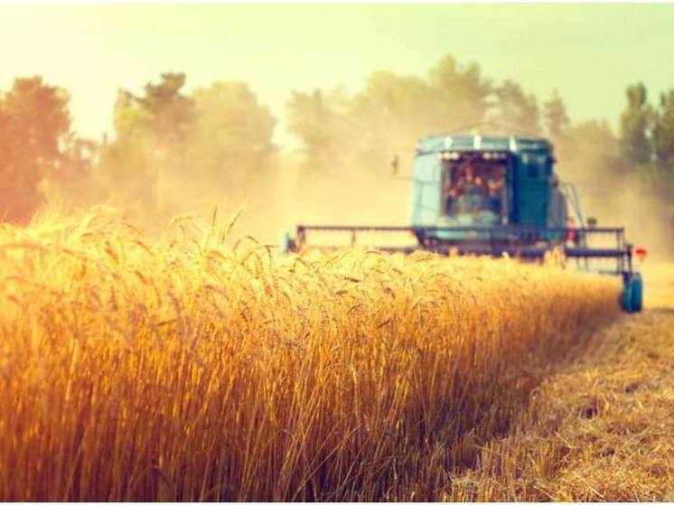 Россельхозбанк готов увеличить льготную поддержку аграриев Забайкалья