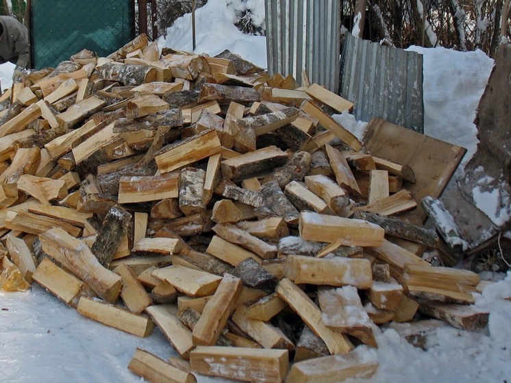 ГБР: на Украине разворовали 101 млн гривен на дровах для ВСУ