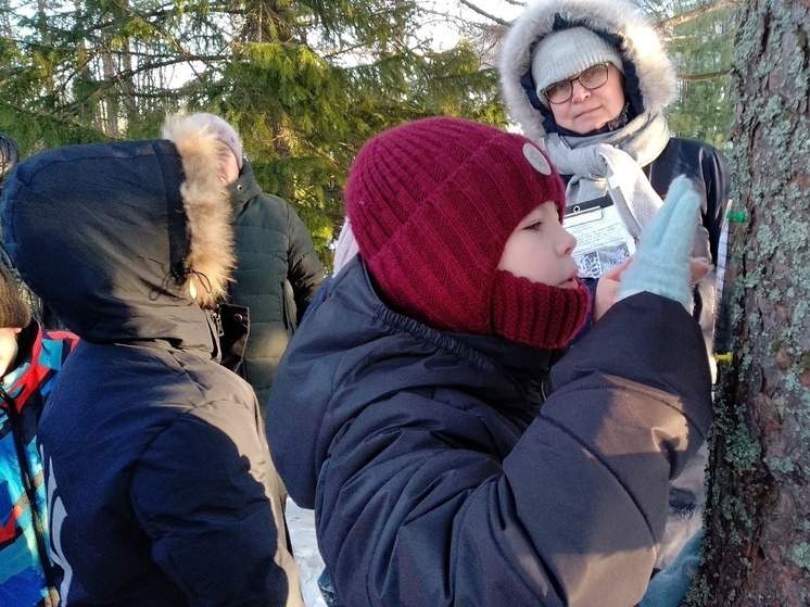 Школьники Онежского полуострова открывают тайны лишайников и жемчужниц