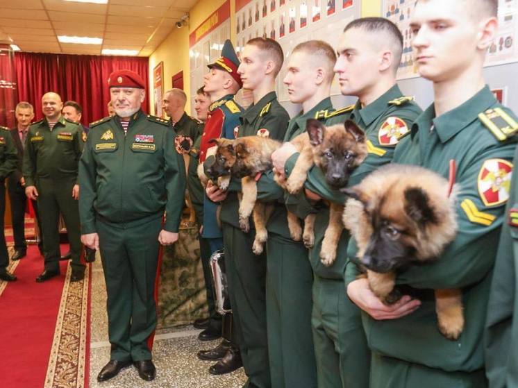 В Пермском военном институте Росгвардии курсантам-кинологам вручили по щенку