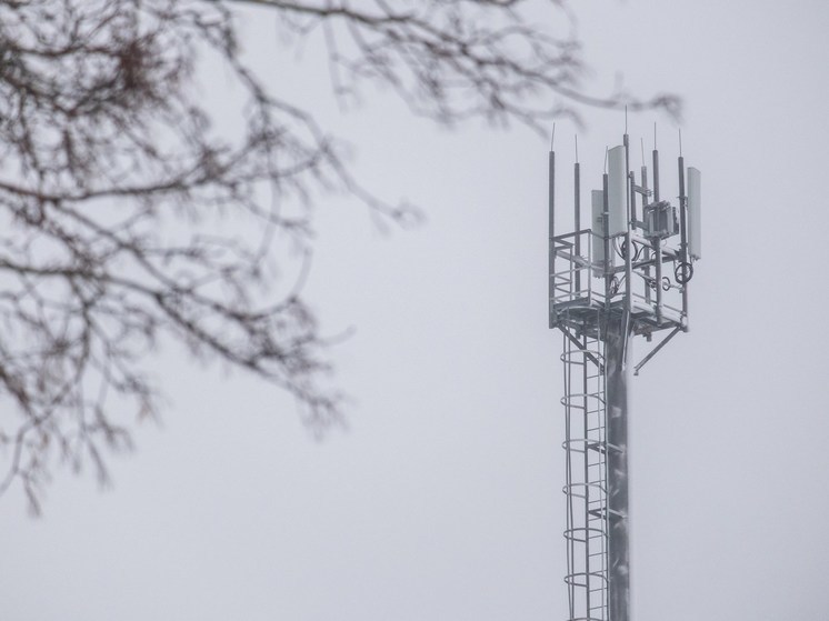 Выяснили, какие поселки в Карелии потребили больше всего мобильного трафика за год