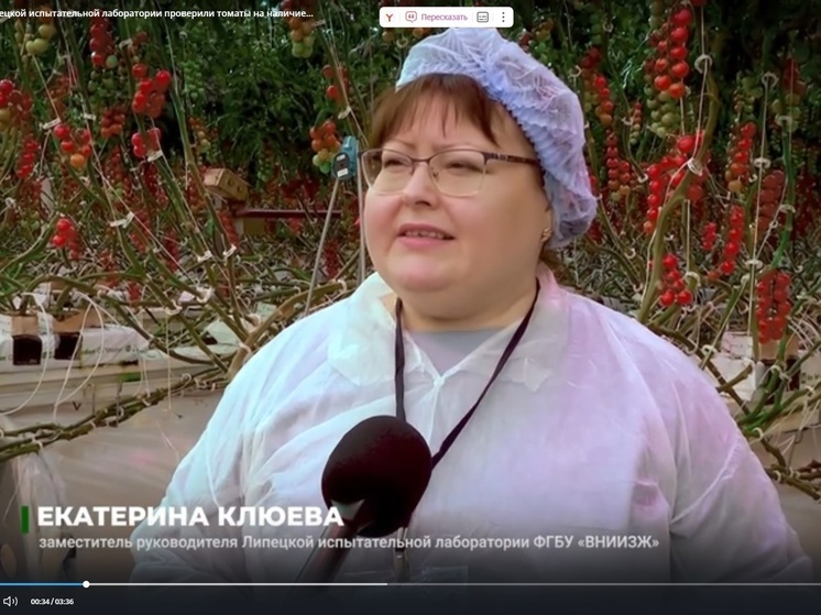 Специалисты Липецкой испытательной лаборатории проверили томаты на вирусы