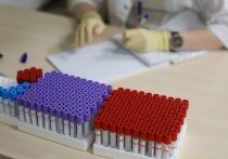 Заболеваемость острыми респираторными вирусными инфекциями и гриппом в Приморском крае остается ниже эпидемического порога на 45 %, однако число выявленных случаев гриппа увеличивается, сообщили в региональном управлении Роспотребнадзора