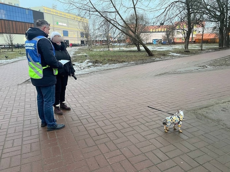 В Ярославле собаководов-нарушителей будут выявлять по видеокамерам