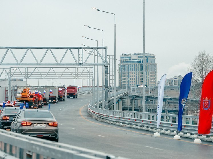 Новый мост ШМСД через Неву построят в Петербурге
