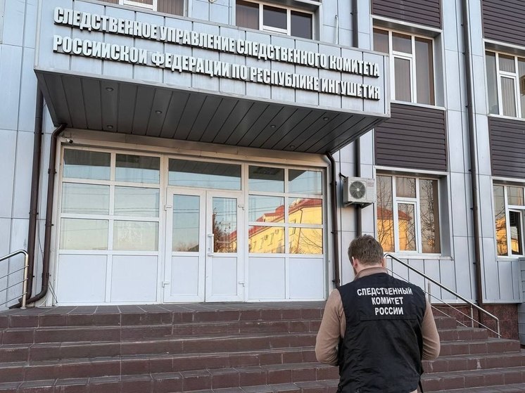 Строительно-монтажный подъёмник упал на девочку в одной из школ Ингушетии