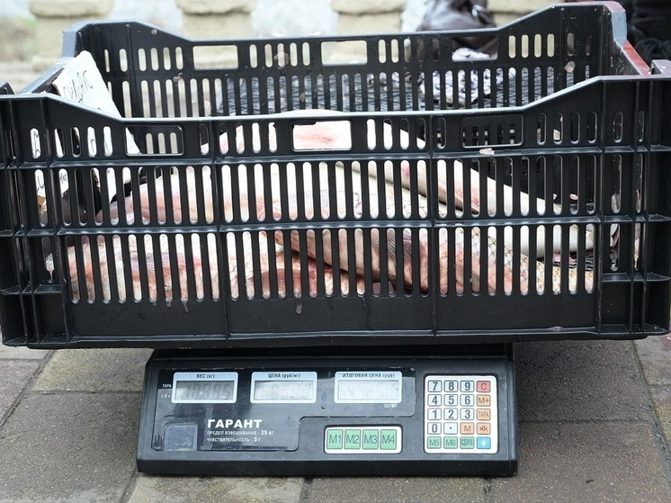 В Сочи проверили законность продажи рыбы на улицах города