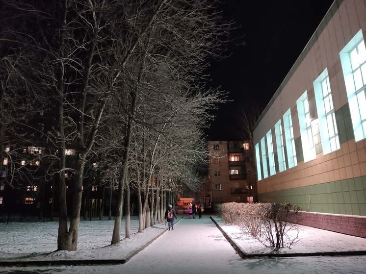 В томских школах будут показывать комиксы о фейках и терроризме