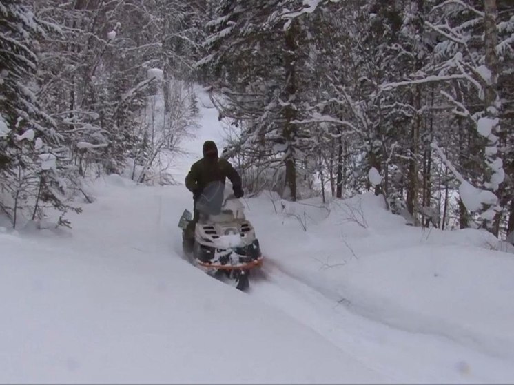 Инспекторы Хакасии устроили охоту на браконьеров в Аскизском районе