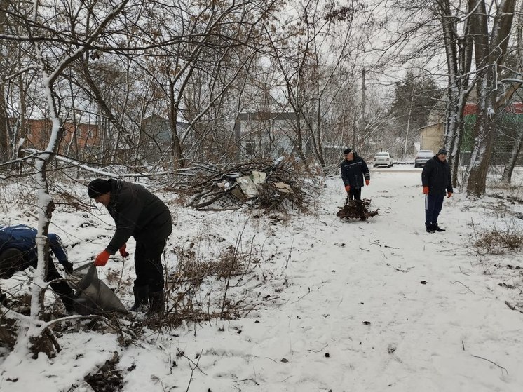 В Курске очистили заросшую диким кустарником территорию под застройку