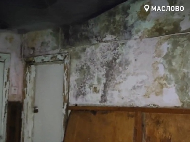В Орловской области нашли ФАП с плесенью