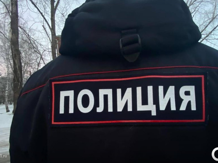 В Омской области окончены поиски мужчины в серой куртке