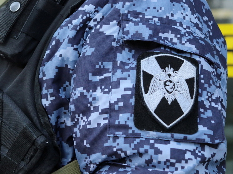 В Марий Эл сотрудники Росгвардии задержали нетрезвого гражданина