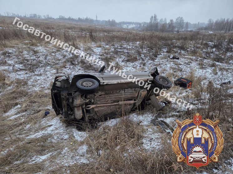 В Тульской области 2 человека госпитализированы после падения «ВАЗ 21144» в кювет