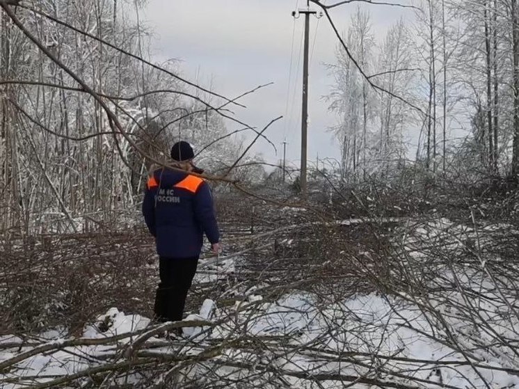 Спасатели МЧС помогают восстанавливать электричество на Новгородчине