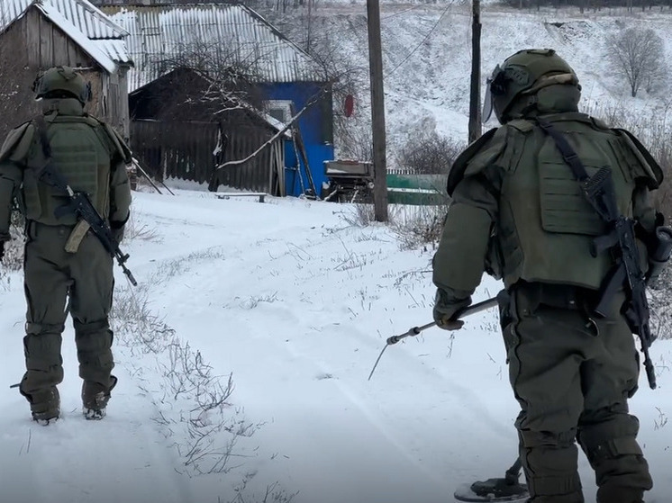 Военные инженеры уничтожили несколько мин ВСУ в селе в курском приграничье