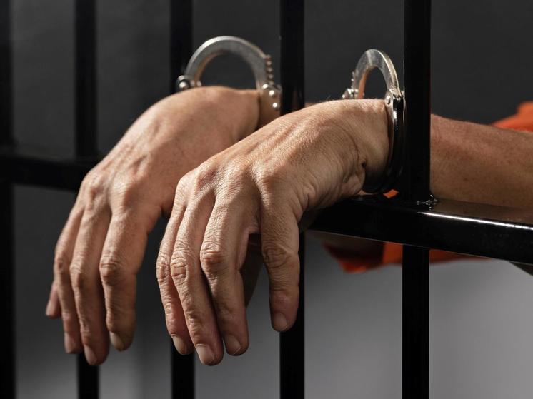 71-летнего брянца приговорили к трем годам колонии строгого режима.