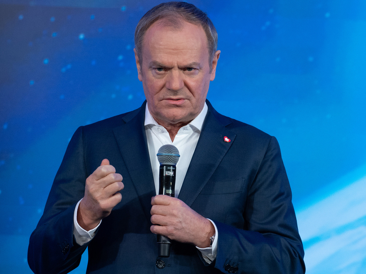 Скандал вокруг премьер-министра соседней с Россией страны: обвинения в госперевороте