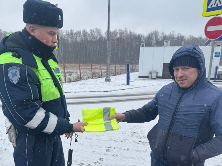 В Тульской области сотрудники ГАИ раздали световозвращающие жилеты и манжеты