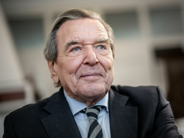 Психотерапевт объяснила, почему экс-канцлеру Германии Шрёдеру потребовалась госпитализация при эмоциональном выгорании