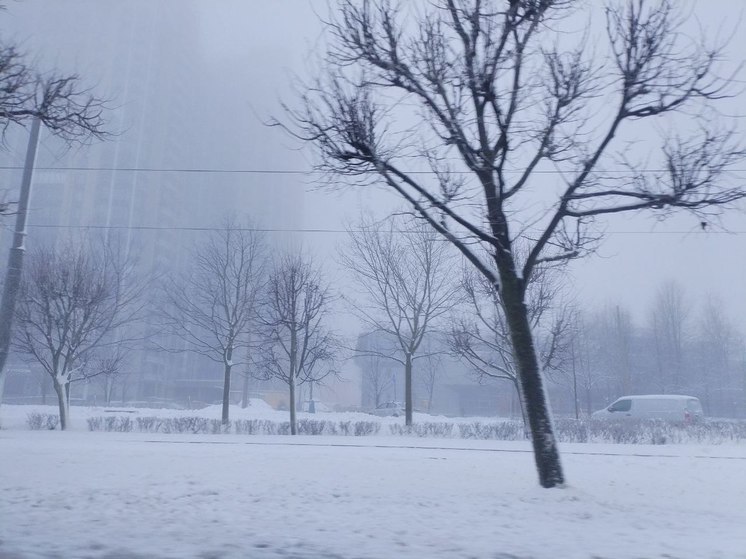 Новгородцам пообещали в предстоящие дни туман и морозы